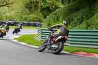 cadwell-no-limits-trackday;cadwell-park;cadwell-park-photographs;cadwell-trackday-photographs;enduro-digital-images;event-digital-images;eventdigitalimages;no-limits-trackdays;peter-wileman-photography;racing-digital-images;trackday-digital-images;trackday-photos